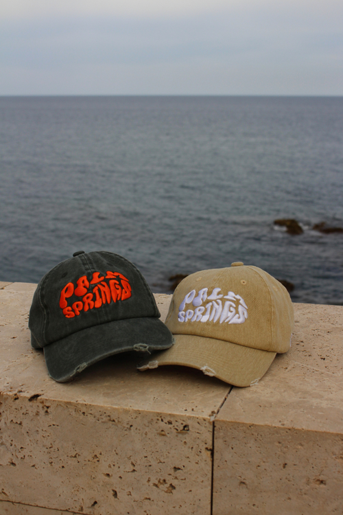 Brown Palm Springs Cap CoastBcn